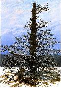 Caspar David Friedrich Oak Tree in the Snow oil painting